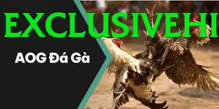 Đá Gà Trực Tiếp - Trải nghiệm tuyệt vời